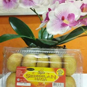 pia sembilan naga L 10 pc