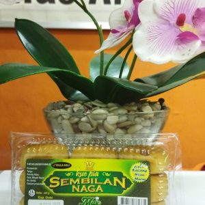 pia sembilan naga M 10 pc